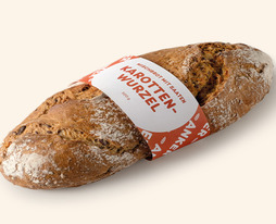 Karottenwurzel
